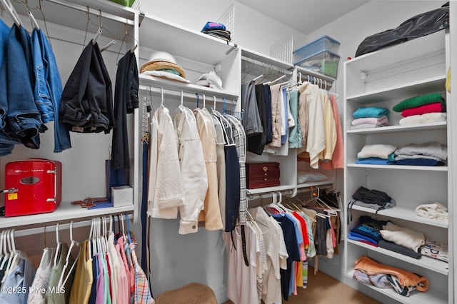 view of walk in closet