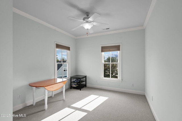 carpeted office featuring ornamental molding, visible vents, plenty of natural light, and baseboards