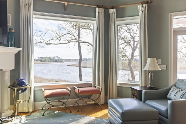 living area featuring a wealth of natural light, baseboards, wood finished floors, and a water view