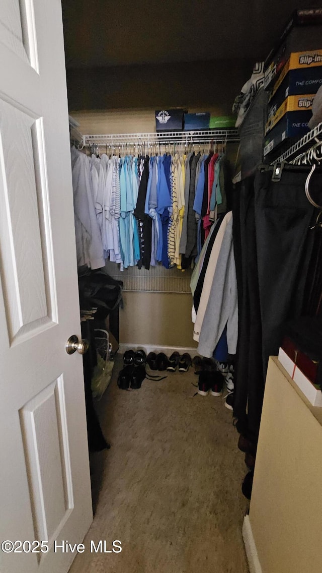 view of spacious closet