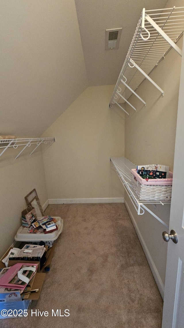 walk in closet featuring lofted ceiling, visible vents, and carpet flooring