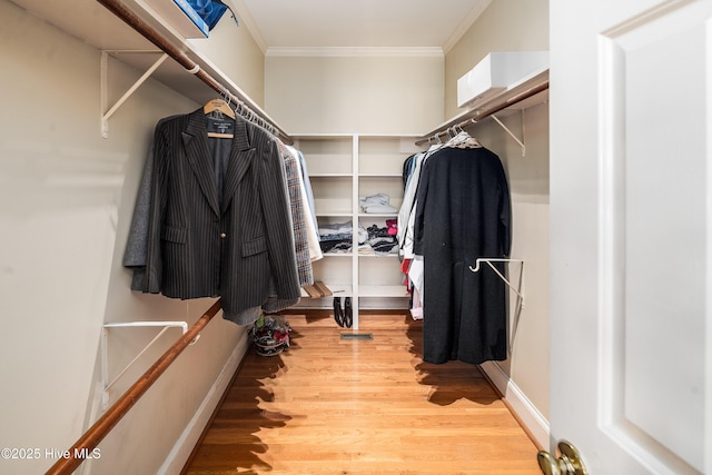 spacious closet featuring light wood-style flooring