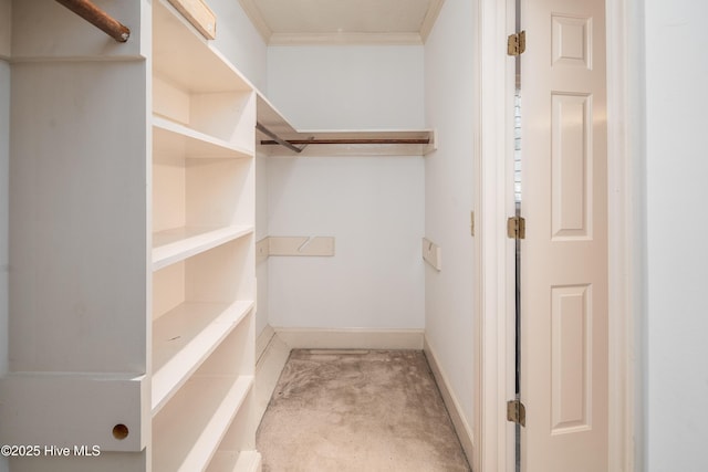 walk in closet with carpet floors