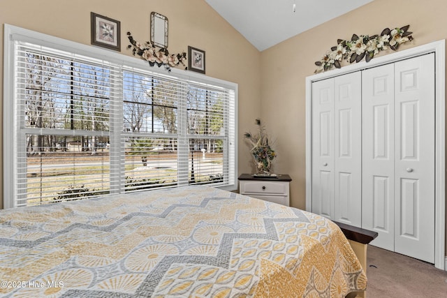 bedroom with a closet, lofted ceiling, and carpet floors