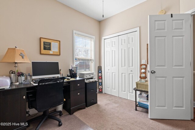 office featuring light colored carpet