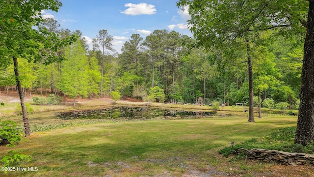 view of yard with a view of trees