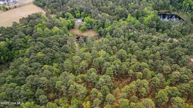 bird's eye view featuring a water view and a wooded view