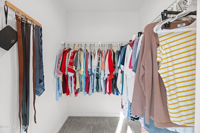 walk in closet featuring carpet flooring