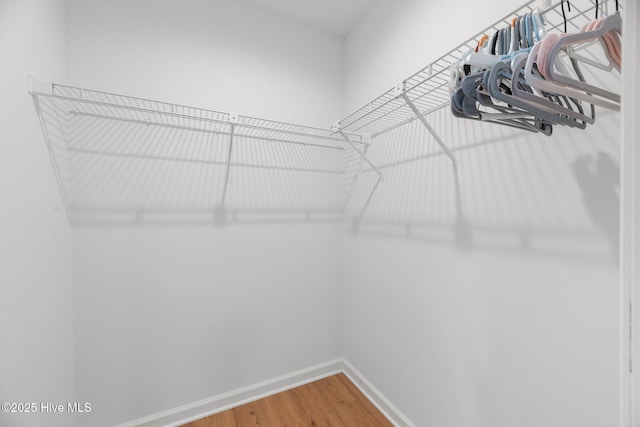 walk in closet with wood finished floors