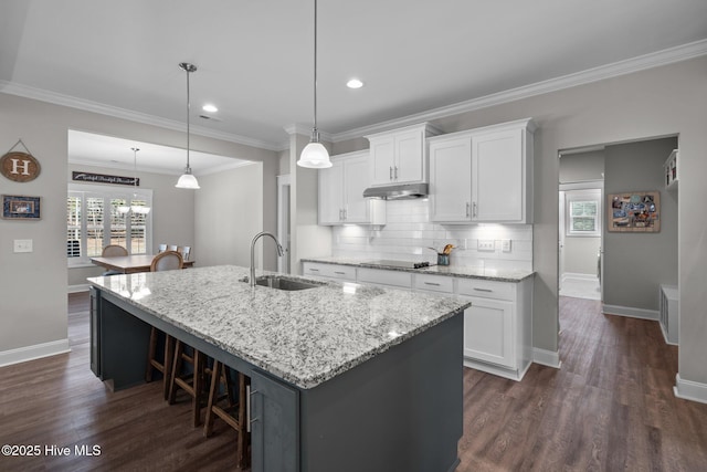 kitchen with dark wood-style floors, a sink, under cabinet range hood, and decorative backsplash