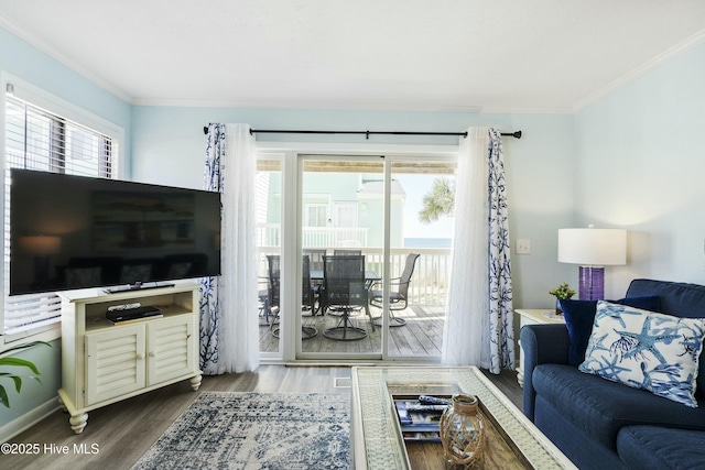 living room with crown molding, plenty of natural light, and wood finished floors