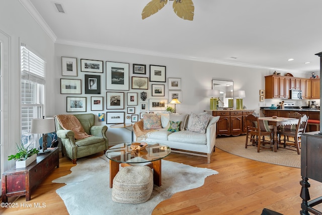 living room with a ceiling fan, visible vents, crown molding, and light wood-style flooring