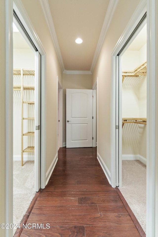 corridor featuring crown molding, baseboards, dark wood-type flooring, and dark colored carpet