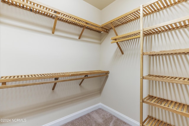 walk in closet featuring carpet