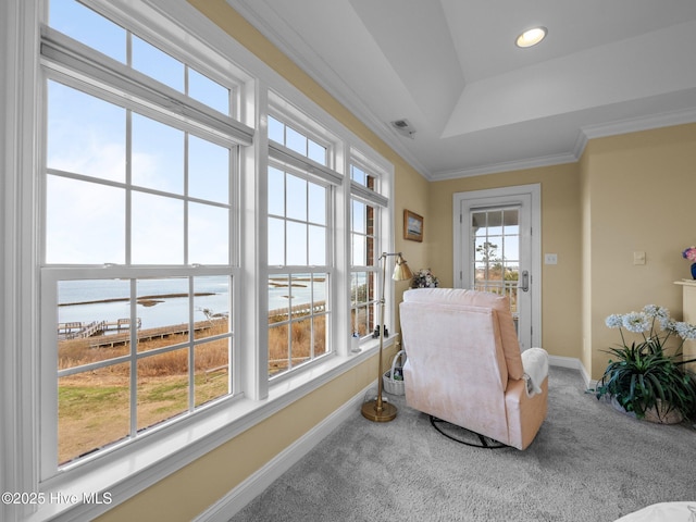 sunroom with a tray ceiling and a water view