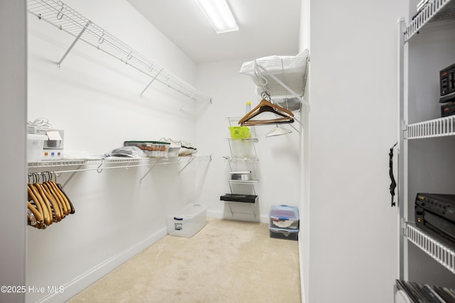 spacious closet with carpet floors