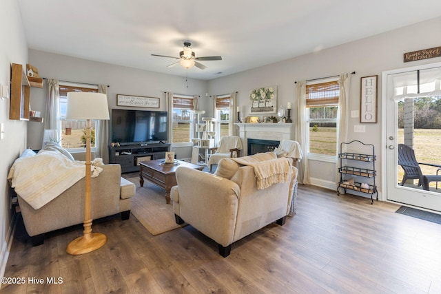 living room featuring ceiling fan, dark wood-style flooring, and a fireplace