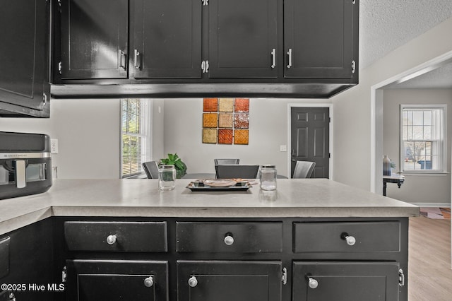 kitchen featuring plenty of natural light, light countertops, dark cabinetry, and wood finished floors