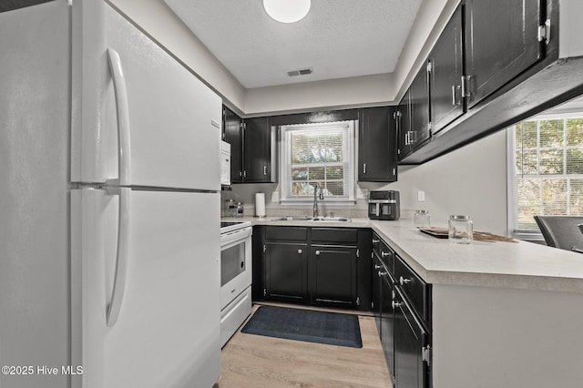 kitchen with white appliances, dark cabinets, light countertops, light wood-style floors, and a sink