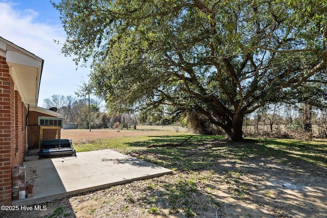 view of yard featuring a patio