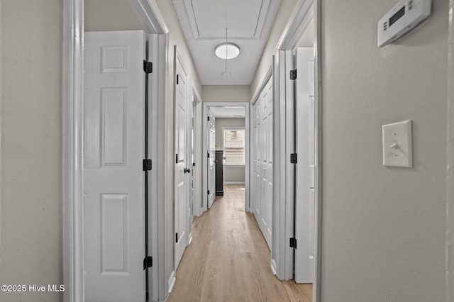 hall featuring light wood finished floors and attic access