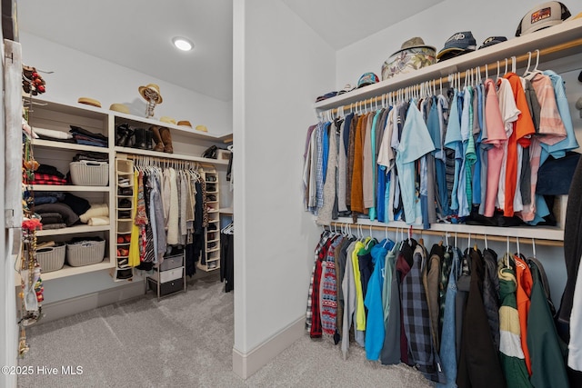 spacious closet featuring carpet