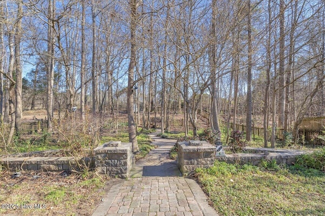 148 Mendover Dr, Jacksonville, NC 28546 - view of yard