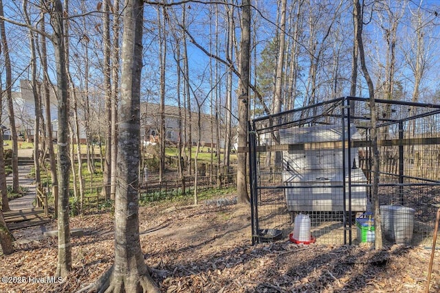 148 Mendover Dr, Jacksonville, NC 28546 - view of poultry coop