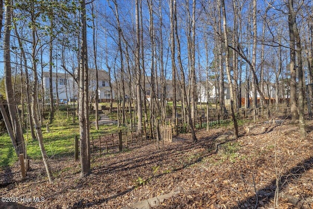 148 Mendover Dr, Jacksonville, NC 28546 - view of nature