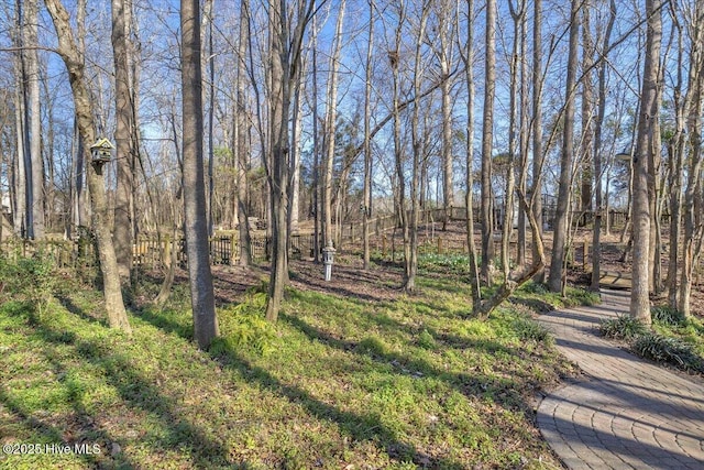 148 Mendover Dr, Jacksonville, NC 28546 - view of yard