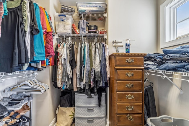 view of spacious closet