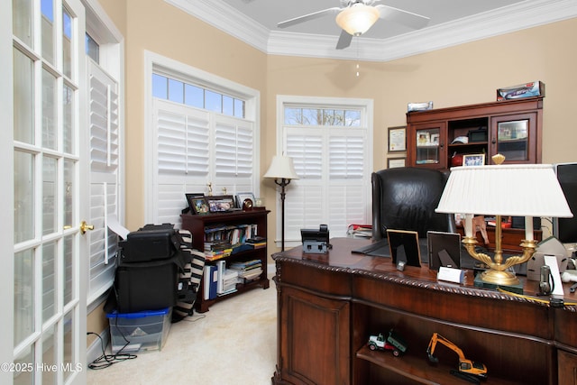 906 Taberna Cir, New Bern, NC 28562 - office featuring a ceiling fan, light colored carpet, and ornamental molding