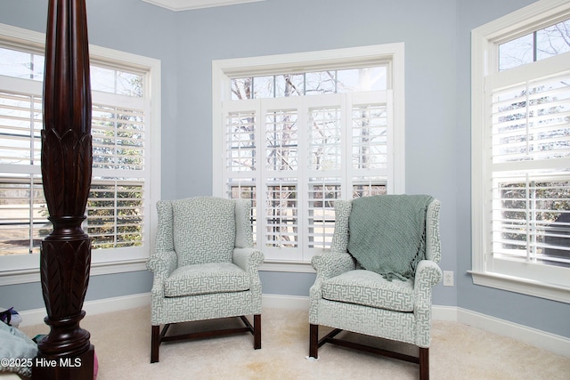 906 Taberna Cir, New Bern, NC 28562 - sitting room with a wealth of natural light, baseboards, and carpet
