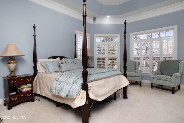906 Taberna Cir, New Bern, NC 28562 - carpeted bedroom featuring a raised ceiling, baseboards, and ornamental molding