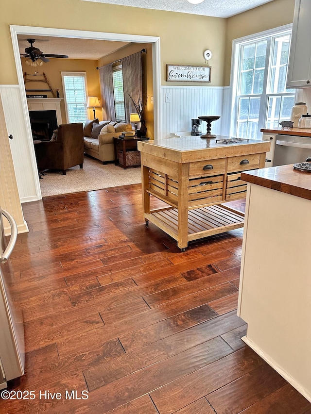 kitchen with dark wood-style flooring, a fireplace, butcher block counters, stainless steel dishwasher, and wainscoting