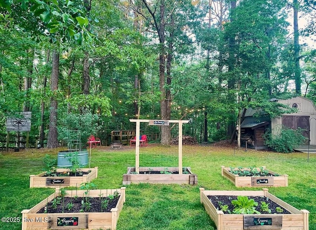 view of yard featuring a garden and an outdoor structure