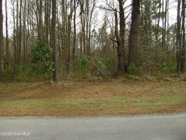 348 Country Ests, Columbia NC, 27925 land for sale