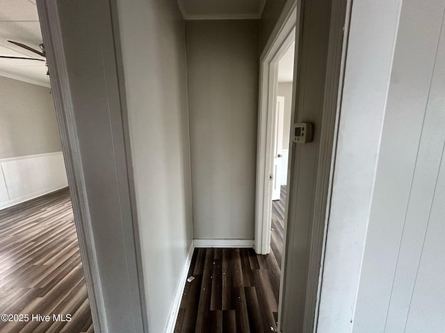 corridor featuring dark wood-type flooring