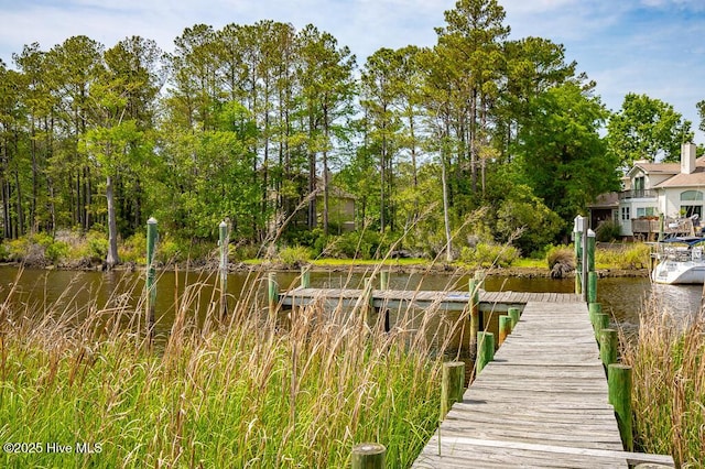 917 Hearthside Ct, New Bern, NC 28560 - dock area featuring a water view