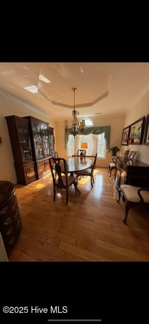 917 Hearthside Ct, New Bern, NC 28560 - dining room featuring a raised ceiling, wood finished floors, and crown molding