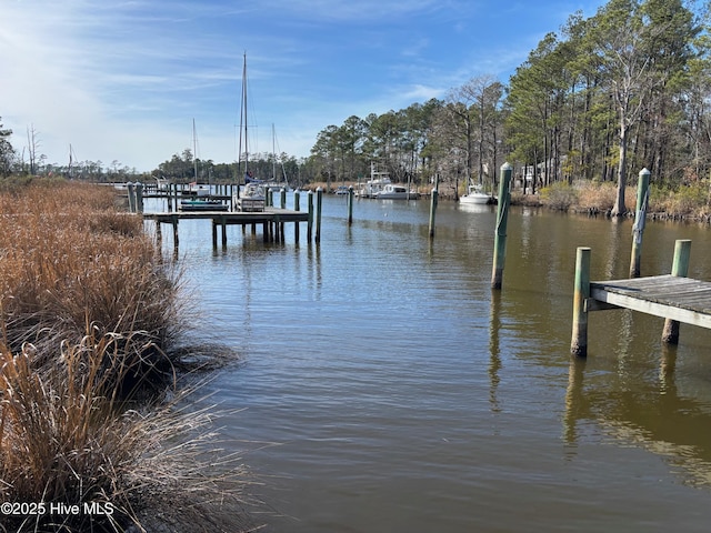 917 Hearthside Ct, New Bern, NC 28560 - dock featuring a water view