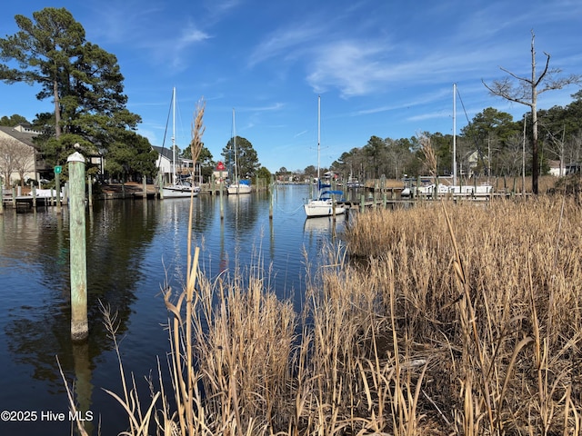 917 Hearthside Ct, New Bern, NC 28560 - dock featuring a water view