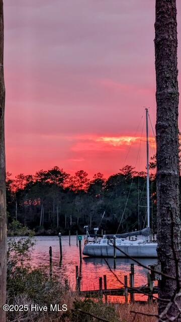 917 Hearthside Ct, New Bern, NC 28560 - view of yard with a boat dock and a water view