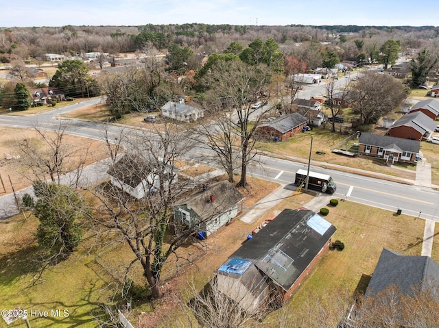 bird's eye view