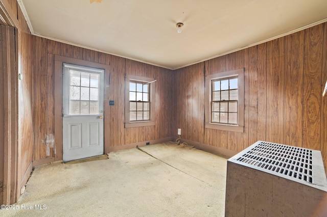 interior space with carpet floors, wood walls, baseboards, and ornamental molding