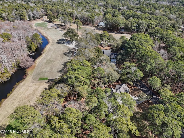 bird's eye view featuring a water view and a view of trees