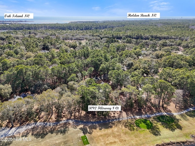 birds eye view of property with a forest view