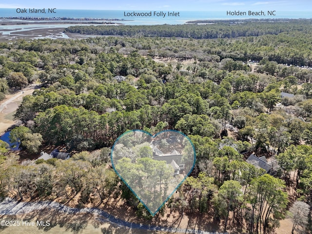 bird's eye view featuring a wooded view