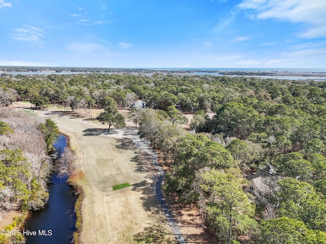 drone / aerial view with a water view and a view of trees