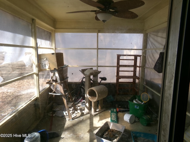 sunroom / solarium featuring ceiling fan